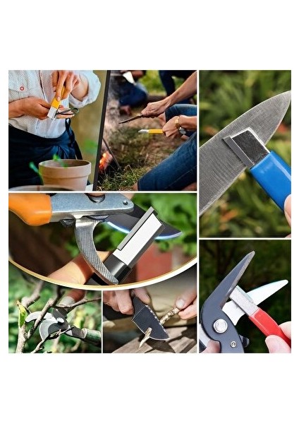 Volkan Temiz -Marka Meyve Ağaçlarında Budama Aşılama Eğitim E-Kitap