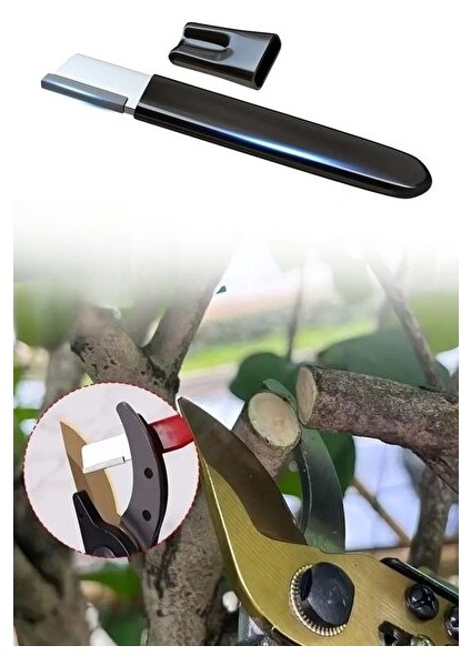 Volkan Temiz -Marka Meyve Ağaçlarında Budama Aşılama Eğitim E-Kitap fiyatları