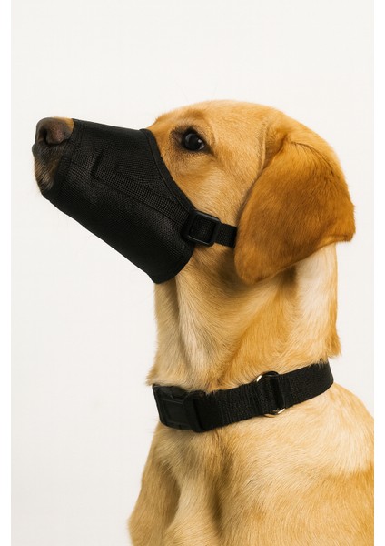 Ayarlanabilir Gentle-Fit Köpek Ağızlığı – Nefes Alabilen Yumuşak Kumaş, Havlama ve Isırmayı Önleyici, Orta Boy (M)
