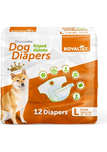 Royalıst Külot Large 12 Li