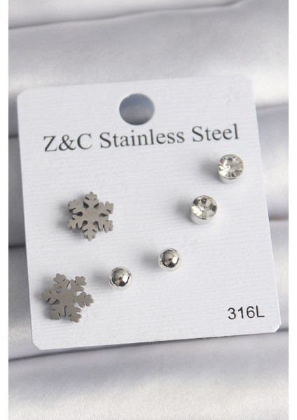 316L Çelik Gümüş Renk Zirkon Taşlı Kar Tanesi Model Kadın Küpe Seti - TJ-BKP10014 fiyatları