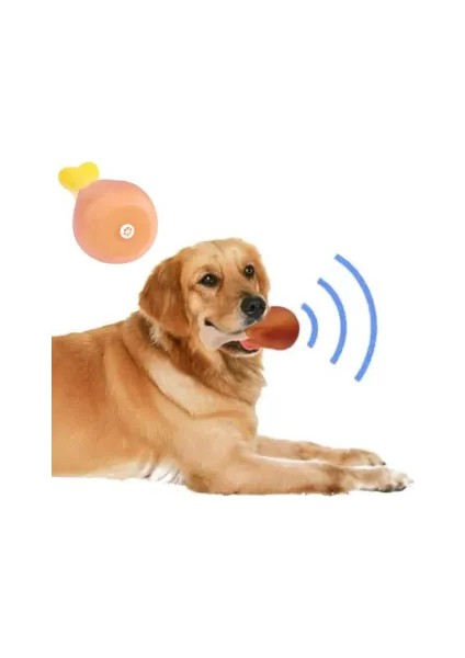 Köpekler Için Sesli Oyuncak Tavuk Butu modelleri