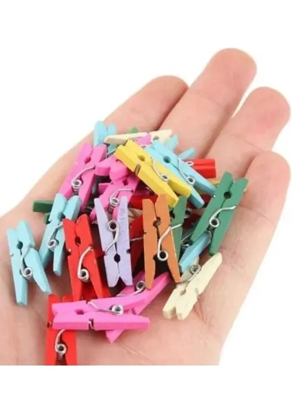 100'LÜ Renkli Ahşap Mandal Seti (2.5 Cm) fiyatları