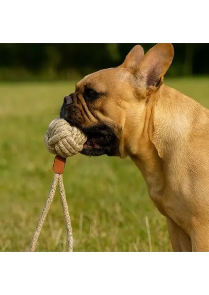 Köpek Oyun Topu fırsatları