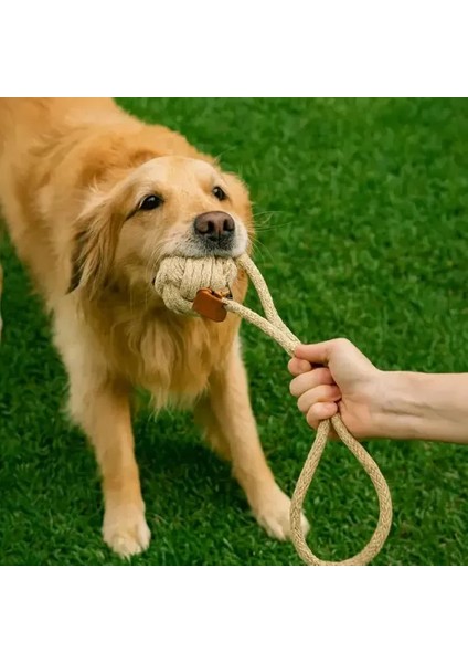 Köpek Oyun Topu indirimleri