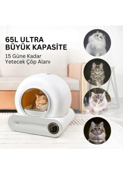 Akıllı Otomatik Kedi Tuvaleti indirimleri