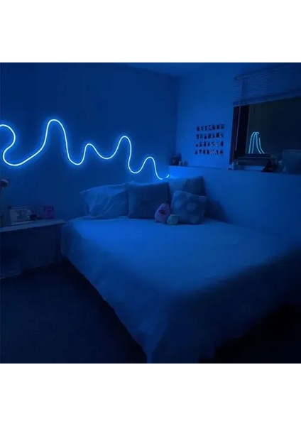 5m 16 Renk 4 Fonksiyonlu Esnek Şerit Neon LED modelleri