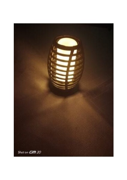 Solar Alev Efektli Bahçe Lambası modelleri