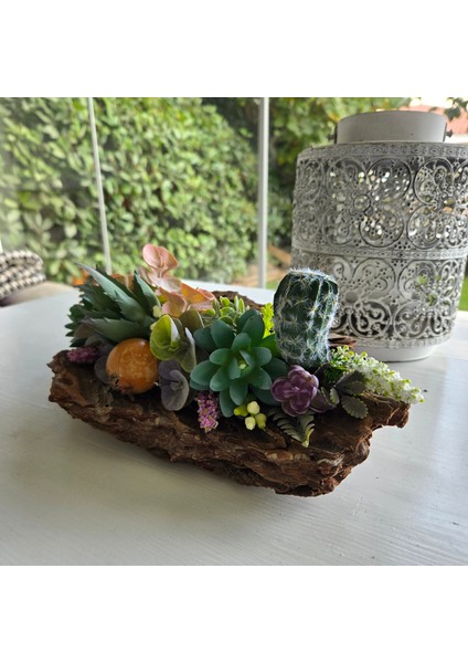 El Yapımı Ağaç Kabuğu Dekoru – Sukulent & Kaktüs Tasarımlı Doğal Masa Üstü Aranjman fiyatları