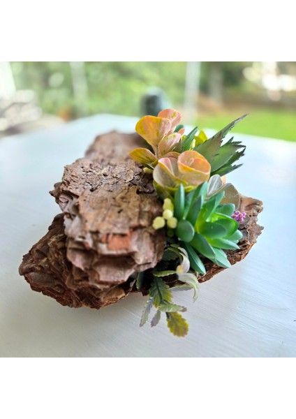 El Yapımı Ağaç Kabuğu Dekoru – Sukulent & Kaktüs Tasarımlı Doğal Masa Üstü Aranjman modelleri