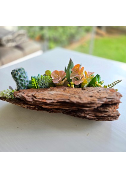 El Yapımı Ağaç Kabuğu Dekoru – Sukulent & Kaktüs Tasarımlı Doğal Masa Üstü Aranjman fırsatları