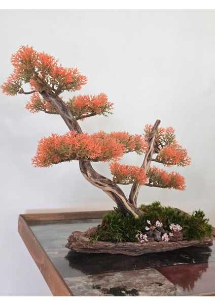 El Yapımı Turuncu Bonsai Ağaç Dekoru – Doğal Ağaç Kabuğu Tabanlı Masaüstü Biblo