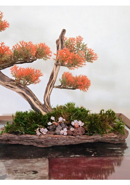 El Yapımı Turuncu Bonsai Ağaç Dekoru – Doğal Ağaç Kabuğu Tabanlı Masaüstü Biblo indirimleri