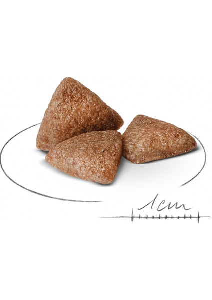 Mını Indoor Adult Küçük Irklar Için Indoor Yetişkin Kuru Köpek Ma