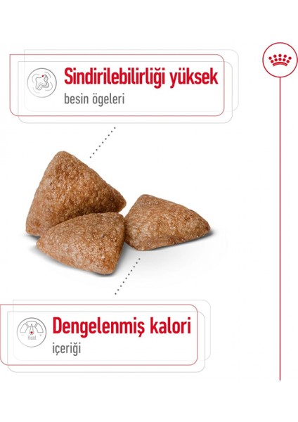 Mını Indoor Adult Küçük Irklar Için Indoor Yetişkin Kuru Köpek Ma