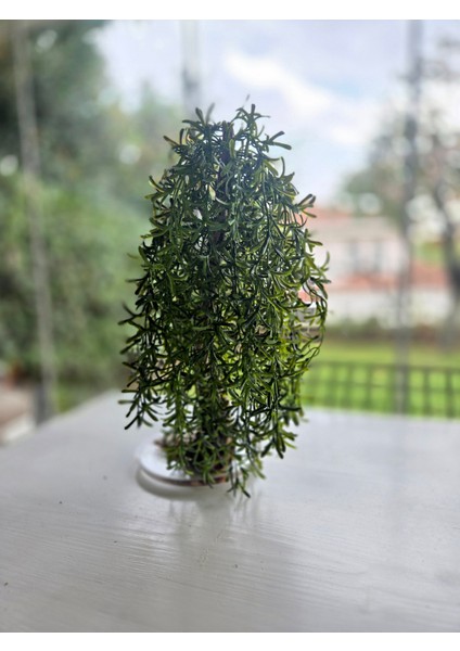 El Yapımı Sarkık Yapraklı Bonsai Ağaç – Doğal Ağaç Gövdesi & Epoksi Tabanlı Yeşil Dekoratif Masa Üstü Süs fiyatları