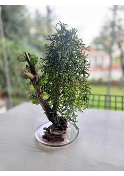 El Yapımı Sarkık Yapraklı Bonsai Ağaç – Doğal Ağaç Gövdesi & Epoksi Tabanlı Yeşil Dekoratif Masa Üstü Süs modelleri