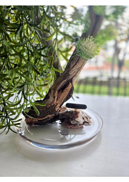El Yapımı Sarkık Yapraklı Bonsai Ağaç – Doğal Ağaç Gövdesi & Epoksi Tabanlı Yeşil Dekoratif Masa Üstü Süs fırsatları