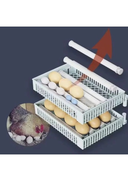 48 Yumurtalık Tam Otomatik Hobi Kabin Tip Kuluçka Makinesi | Tavuk ve Kanatlı Yumurtaları fırsatları