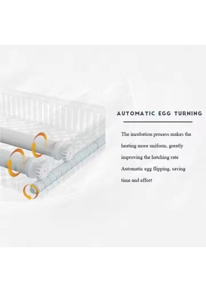 48 Yumurtalık Tam Otomatik Hobi Kabin Tip Kuluçka Makinesi | Tavuk ve Kanatlı Yumurtaları indirimleri