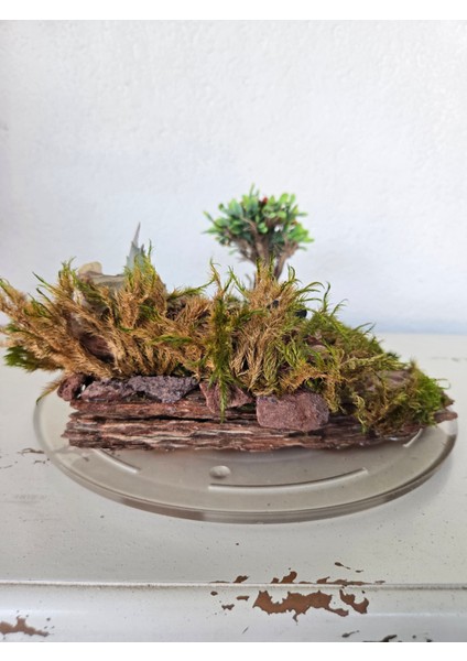 Mini Peyzaj Bonsai Modeli – Doğal Yosunlu & Ağaç Kabuğu Üzeri Epoksi Tabanlı Masa Dekoru fiyatları