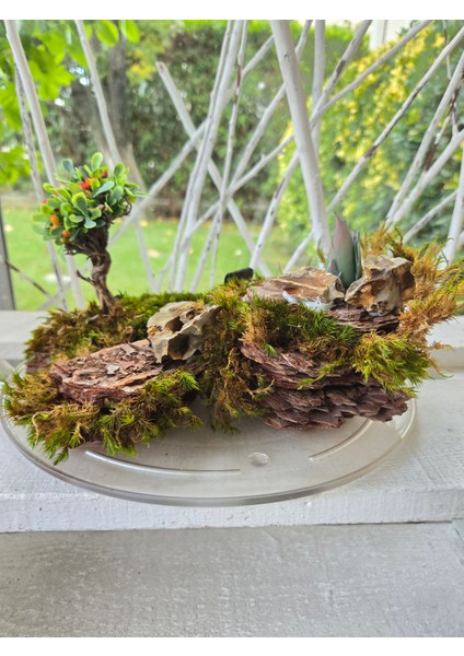 Mini Peyzaj Bonsai Modeli – Doğal Yosunlu & Ağaç Kabuğu Üzeri Epoksi Tabanlı Masa Dekoru modelleri