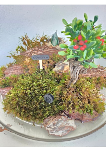 Mini Peyzaj Bonsai Modeli – Doğal Yosunlu & Ağaç Kabuğu Üzeri Epoksi Tabanlı Masa Dekoru fırsatları