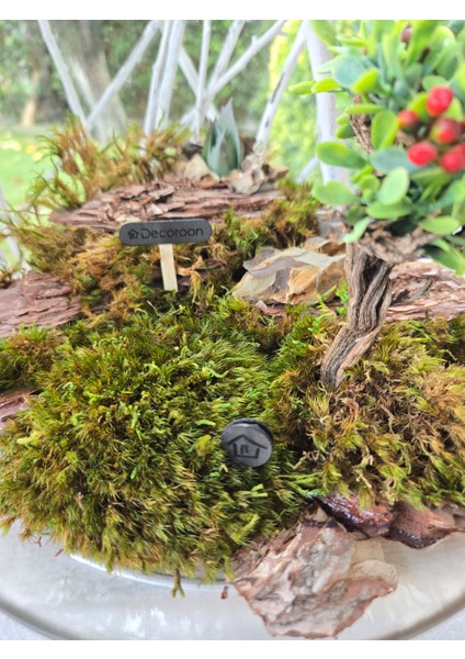 Mini Peyzaj Bonsai Modeli – Doğal Yosunlu & Ağaç Kabuğu Üzeri Epoksi Tabanlı Masa Dekoru indirimleri