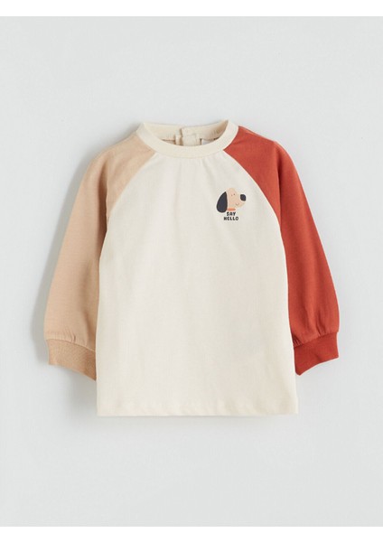 Artı Yeni Sezon Baskılı Erkek Bebek Sweatshirt ve Eşofman Alt 2'li fiyatları