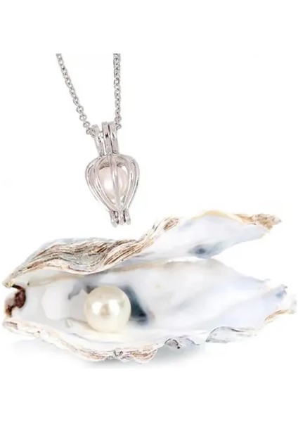 Gerçek Istiridye Içinde Inci Kolye indirimleri