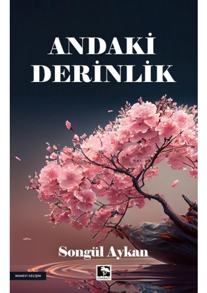 Andaki Derinlik