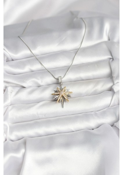 Bfs 316L Çelik Zincir Gümüş Renk Kutup Yıldızı Model Kadın Kolye fiyatları