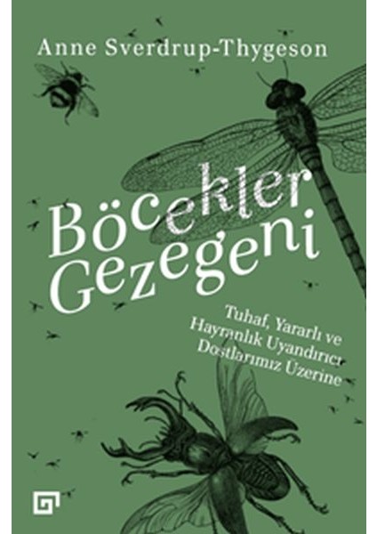 Böcekler Gezegeni - Tuhaf Yararlı ve Hayranlık Uyandırıcı Dostlarımız Üzerine