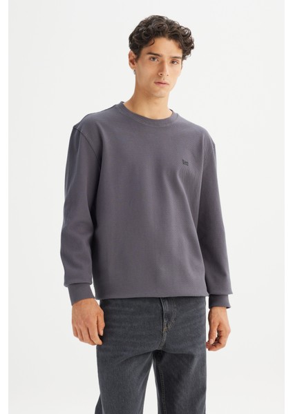 Erkek Pamuk Regular Fit Bisiklet Yaka Gri Sweatshirt -