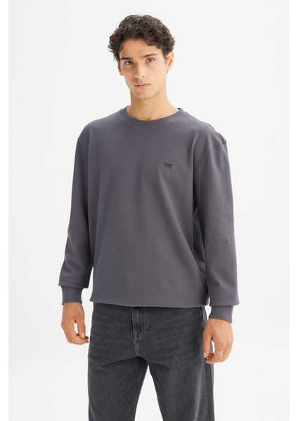 Erkek Pamuk Regular Fit Bisiklet Yaka Gri Sweatshirt - modelleri