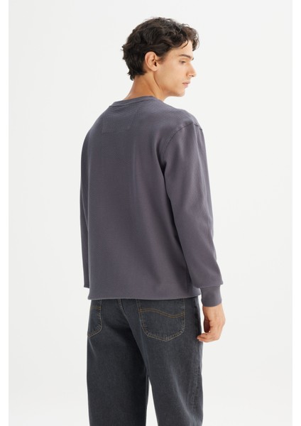 Erkek Pamuk Regular Fit Bisiklet Yaka Gri Sweatshirt - indirimleri