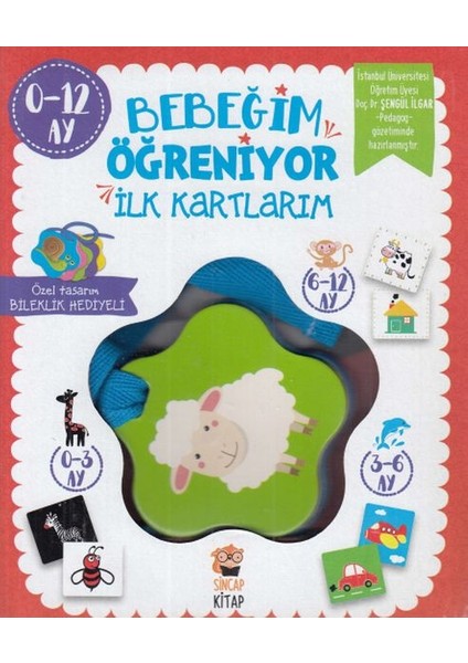 Bebeğim Öğreniyor - Ilk Kartlarım (0 - 12 Ay)