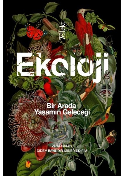 Ekoloji: Bir Arada Yaşamın Geleceği
