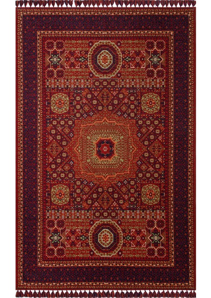 Şiraz 10 Red Multy El Dokuma Desenli Hav Toz Vermez Salon, Mutfak, Koridor Yıkanabilir Kaymaz Kilim