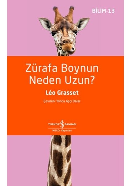Zürafa Boynun Neden Uzun?