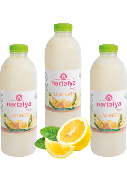 Dondurulmuş Doğal Limonata Şeker Ilavesiz 3 Adet 900 Ml.