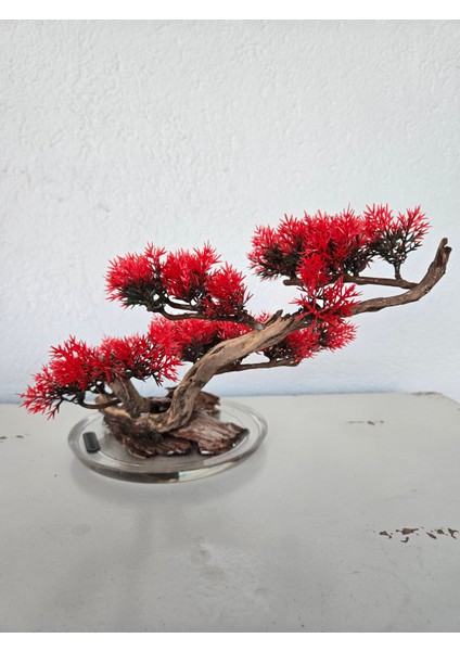 El Yapımı Eğimli Bonsai Dekor – Epoksi Tabanlı Driftwood Ağaç Modeli (Yeşil / Kırmızı / Turuncu) fiyatları