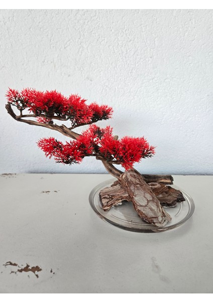 El Yapımı Eğimli Bonsai Dekor – Epoksi Tabanlı Driftwood Ağaç Modeli (Yeşil / Kırmızı / Turuncu) modelleri