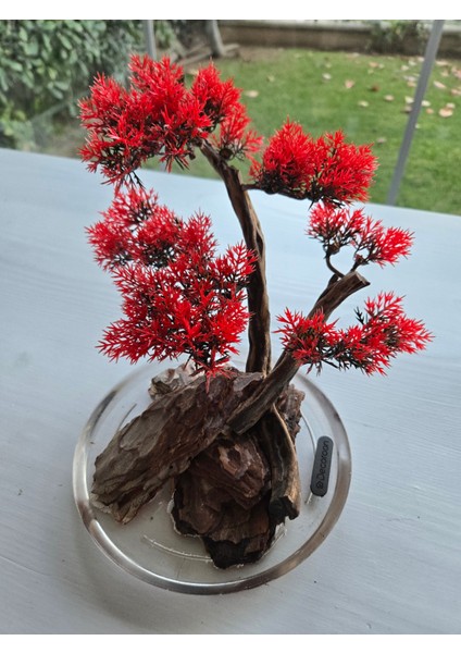 El Yapımı Eğimli Bonsai Dekor – Epoksi Tabanlı Driftwood Ağaç Modeli (Yeşil / Kırmızı / Turuncu) fırsatları