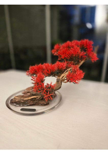 El Yapımı Eğimli Bonsai Dekor – Epoksi Tabanlı Driftwood Ağaç Modeli (Yeşil / Kırmızı / Turuncu)