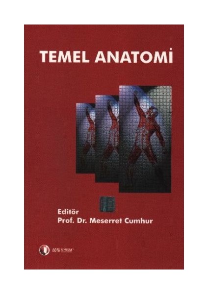 Temel Anatomi