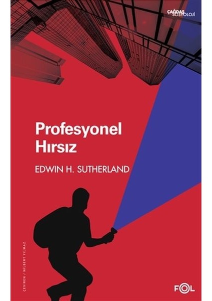Profesyonel Hırsız