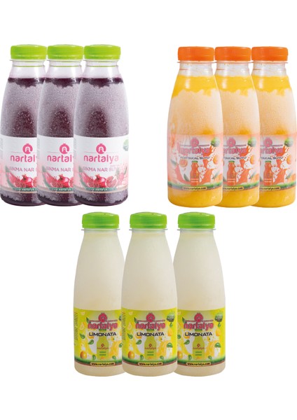 Sıkma Nar Portakal Suyu, Limonata 3 Er Adet 330 Ml.dondurulmuş Ürün