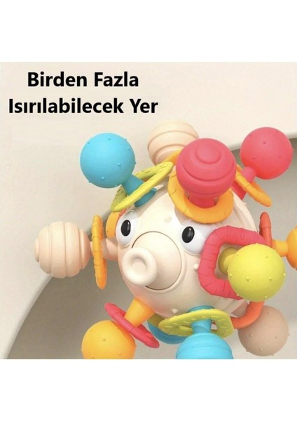 Dönen Kirpi Diş Kaşıyıcı Eğitici Oyuncak Bebek Aktivite Oyuncağı Kavrama Topu 10 Cm.