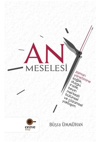 An Meselesi
